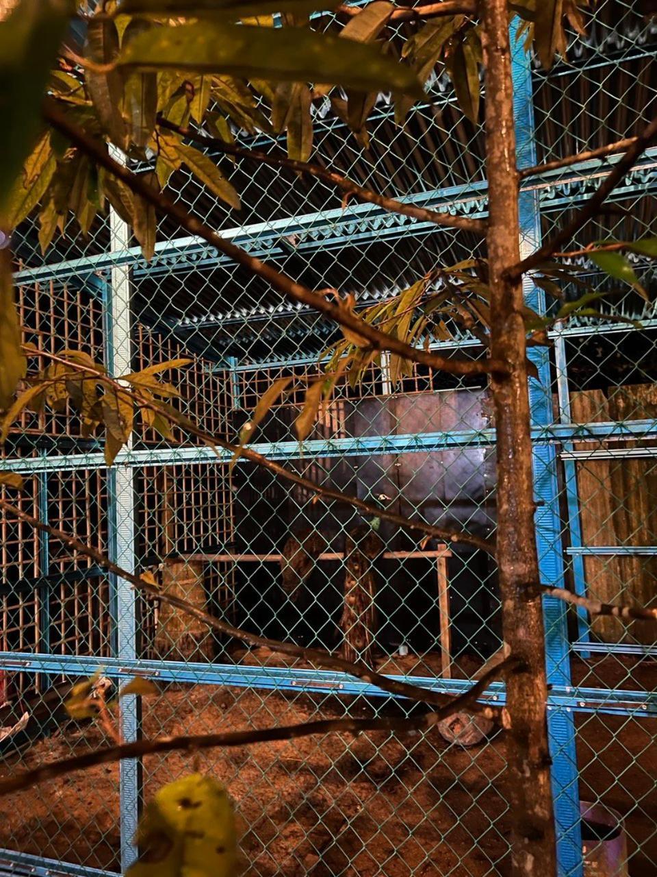 Bb Durio Chalet Kuala Terengganu Bagian luar foto